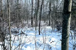 W6660 Cozine Rd, Ladysmith, WI 54848 - Photo 59