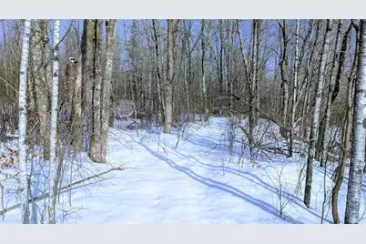 W6660 Cozine Road, Ladysmith, WI 54848 - Photo 41