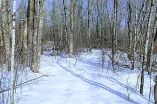 W6660 Cozine Rd, Ladysmith, WI 54848 - Photo 41