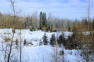 W6660 Cozine Rd, Ladysmith, WI 54848 - Photo 35