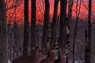 323 220th Ave, Johnstown, WI 54826 - Photo 31