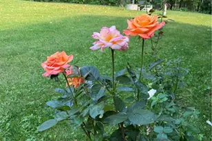 N1675 N Woodyard Rd, Shell Lake, WI 54871 - Photo 47