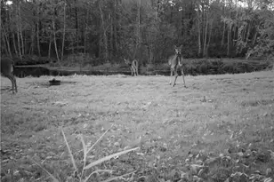 N1675 N Woodyard Rd, Shell Lake, WI 54871 - Photo 51