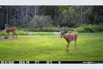 N1675 North Woodyard Road, Shell Lake, WI 54871 - Photo 49