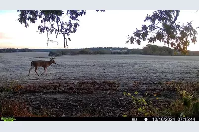 9025 S State Road 37, Eau Claire, WI 54701 - Photo 55