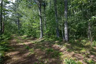 13152W Nova Rd, Hayward, WI 54843 - Photo 21