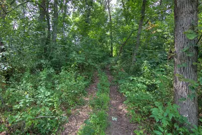 S9025 Lowes Creek Road, Eleva, WI 54738 - Photo 7