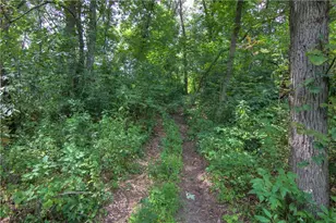 S9025 Lowes Creek Rd, Eleva, WI 54738 - Photo 7