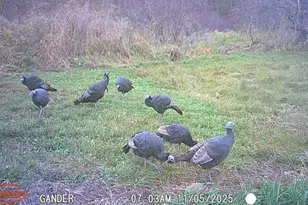 S9025 Lowes Creek Rd, Eleva, WI 54738 - Photo 51