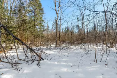 431 Spring Lake Road, Rhinelander, WI 54501 - Photo 29