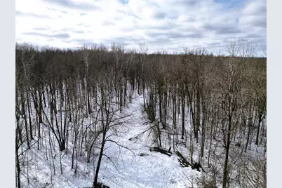 96+ Acres On White Birch Ridge Road, Ladysmith, WI 54848 - Photo 7