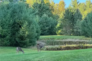 13449N Hollywood Ln, Hayward, WI 54843 - Photo 51