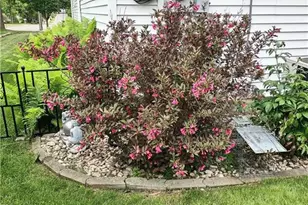 1628 19th St, Eau Claire, WI 54703 - Photo 35