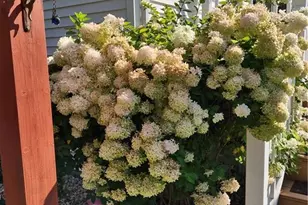 1628 19th St, Eau Claire, WI 54703 - Photo 33