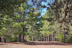 30270 Nicaboyne Lake Rd, Danbury, WI 54830 - Photo 9
