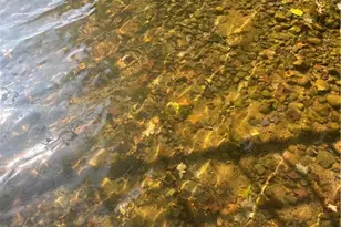 W783 County Hwy D, Birchwood, WI 54817 - Photo 5