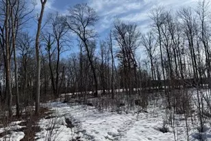0 Bashaw Trail, Shell Lake, WI 54871 - Photo 9