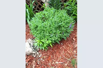 N4388 Esther Drive, Onalaska, WI 54650 - Photo 43