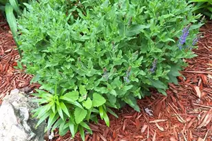 N4388 Esther Dr, Onalaska, WI 54650 - Photo 43