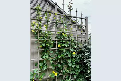 617 Blue Karner Drive, Altoona, WI 54720 - Photo 55