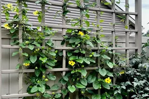 617 Blue Karner Dr, Altoona, WI 54720 - Photo 55