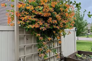 617 Blue Karner Dr, Altoona, WI 54720 - Photo 5