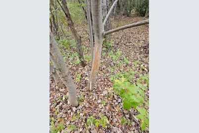 W6914 Sunset Lane, Phillips, WI 54555 - Photo 13