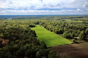 247125 Nehrbass Rd, Athens, WI 54411 - Photo 45