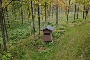 247125 Nehrbass Rd, Athens, WI 54411 - Photo 43