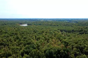 247125 Nehrbass Rd, Athens, WI 54411 - Photo 41