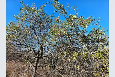 11116 Blackberry Road, Trego, WI 54888 - Photo 11