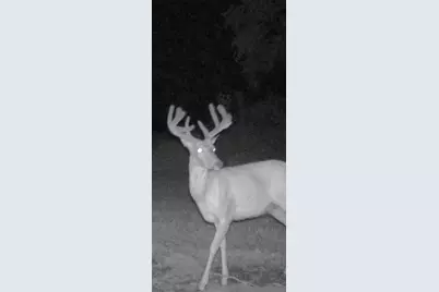 890 S Independence Road, Independence, WI 54747 - Photo 9