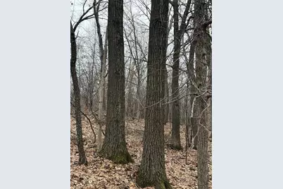 890 S Independence Road, Independence, WI 54747 - Photo 25