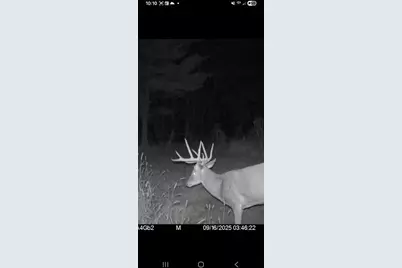 890 S Independence Road, Independence, WI 54747 - Photo 11