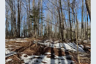 Lot 1 County Hwy G, Winter, WI 54896 - Photo 29