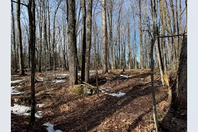 Lot 1 County Hwy G, Winter, WI 54896 - Photo 15