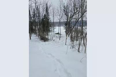 Lake Lot 7(3.73 Acres) Deer Lake Road, Exeland, WI 54835 - Photo 3