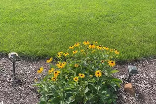 E3547 Pine Creek Rd, Eleva, WI 54738 - Photo 37