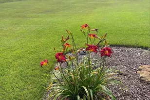 E3547 Pine Creek Rd, Eleva, WI 54738 - Photo 27