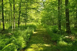 N4900 Homestead Rd, Hawkins, WI 54530 - Photo 39