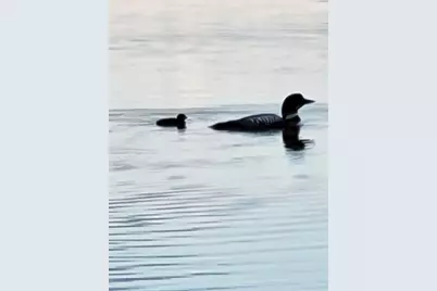 11612 McClain Lake Road, Trego, WI 54888 - Photo 37