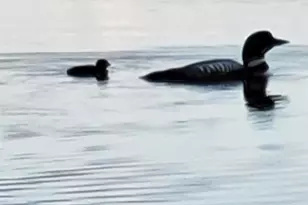 11612 McClain Lake Rd, Trego, WI 54888 - Photo 37