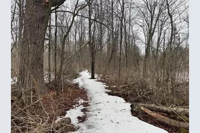 Lots 22-23 Deepwoods Run, Ojibwa, WI 54862 - Photo 51