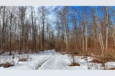 Lots 22-23 Deepwoods Run, Ojibwa, WI 54862 - Photo 31