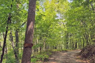 14954 W Goss Rd, Hayward, WI 54843 - Photo 33