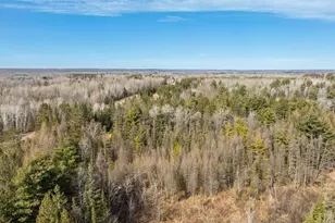 27633 182nd St, Holcombe, WI 54745 - Photo 59
