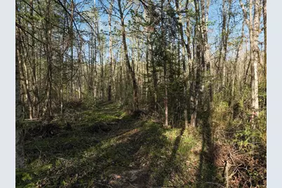 2982 State Road 40, Radisson, WI 54867 - Photo 7