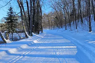 11256N Orion Rd, Hayward, WI 54843 - Photo 3