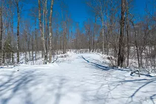 11256N Orion Rd, Hayward, WI 54843 - Photo 27