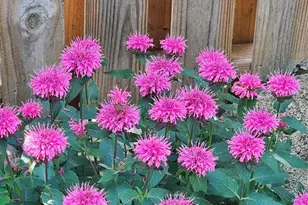 4836 Running Deer Dr, Eau Claire, WI 54703 - Photo 37